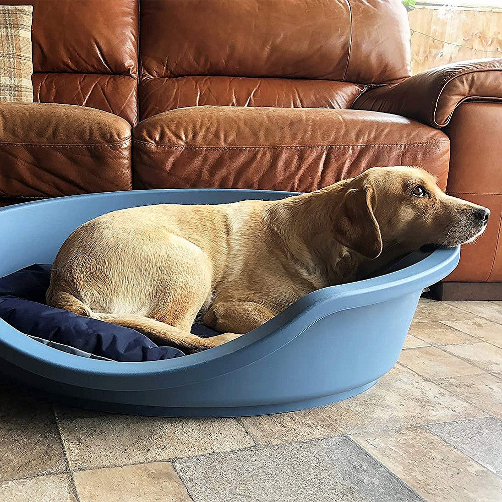 Plastic dog beds uk hotsell