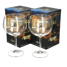 Load image into Gallery viewer, 2 x Whitley Neil Balloon Glasses. Blue Box PARTY. NEW, BOXED
